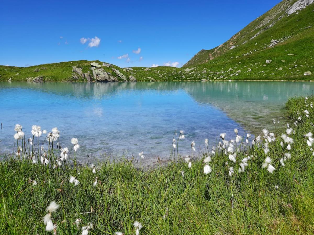 Appartement Alpenglueck Aich  Exteriör bild