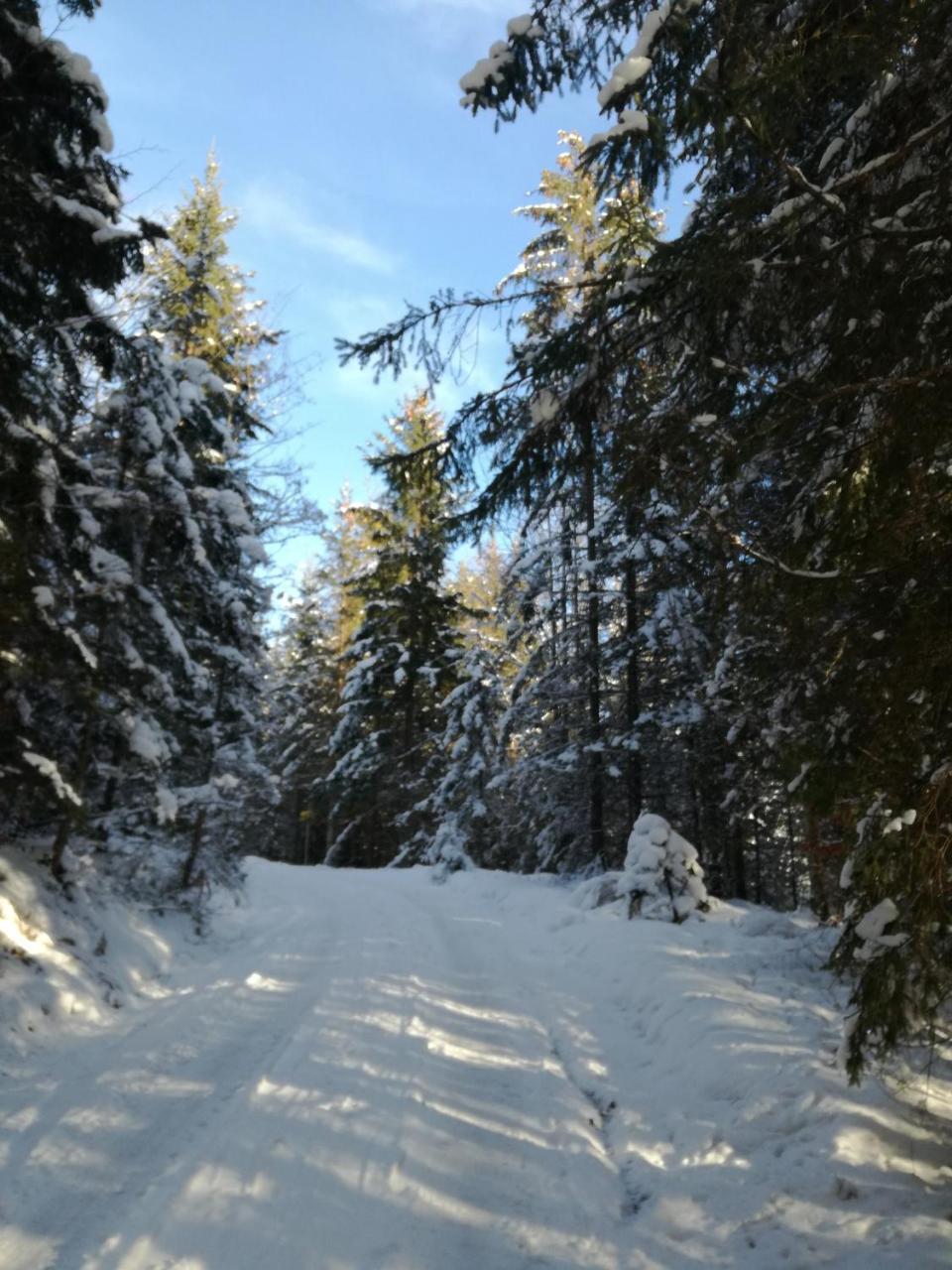 Appartement Alpenglueck Aich  Exteriör bild